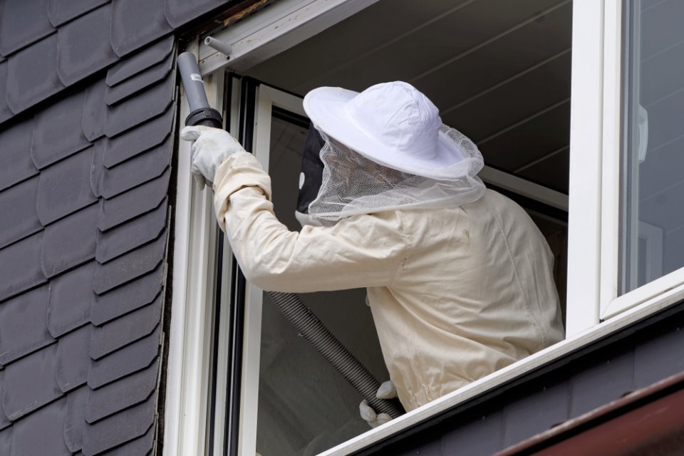 hyönteistentorjuja suojavaatteissa käsittelee ikkunaa